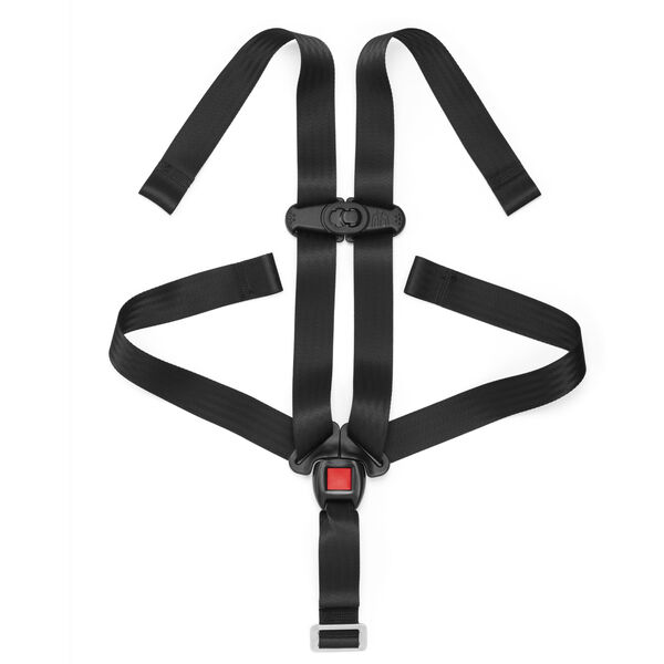 https://www.chiccousa.com/dw/image/v2/AAMT_PRD/on/demandware.static/-/Sites-chicco_catalog/default/dw8c469bd4/images/products/Parts_2020/car_seat/Chicco-NextFit-Harness-Straps-2000x2000.jpg?sw=600&sh=600&sm=fit